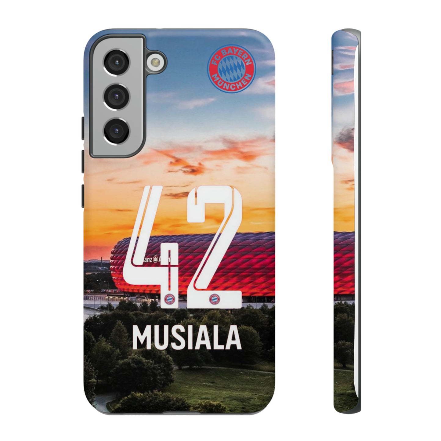 Allianz Arena Case