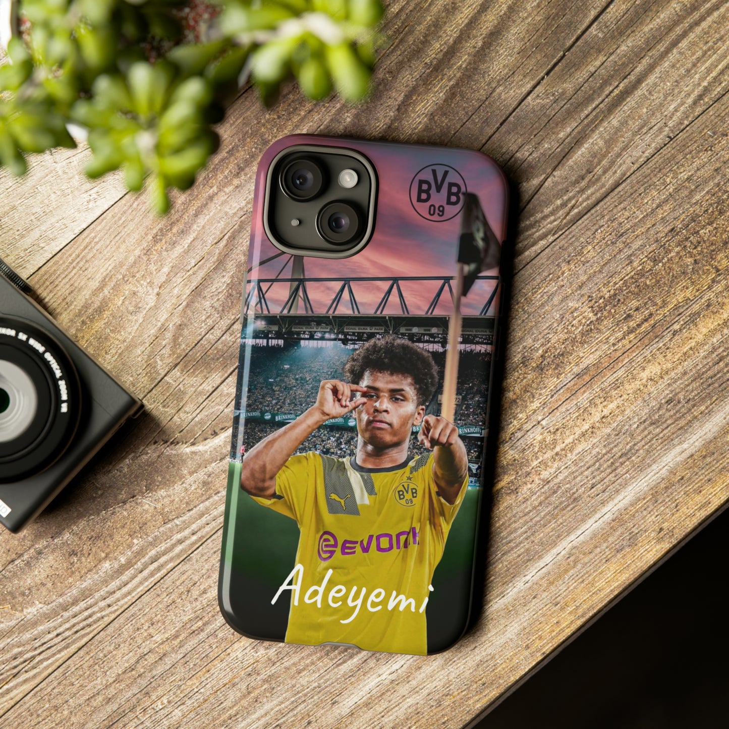 Adeyemi BVB Case