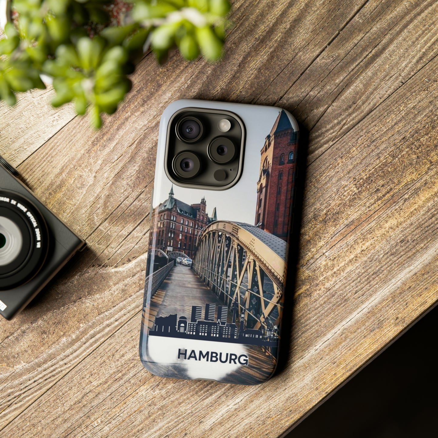 Hamburg Case