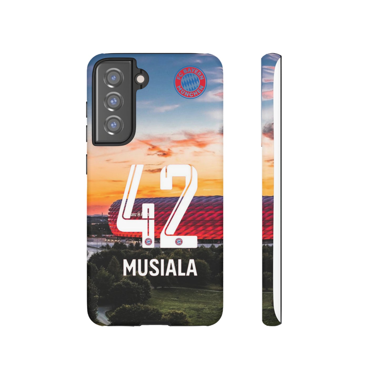 Allianz Arena Case