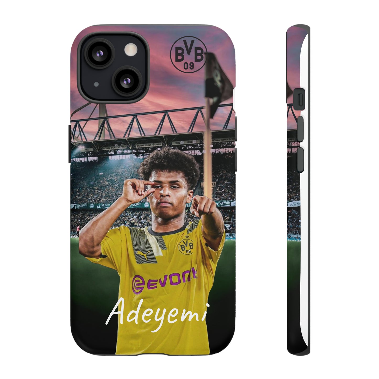 Adeyemi BVB Case