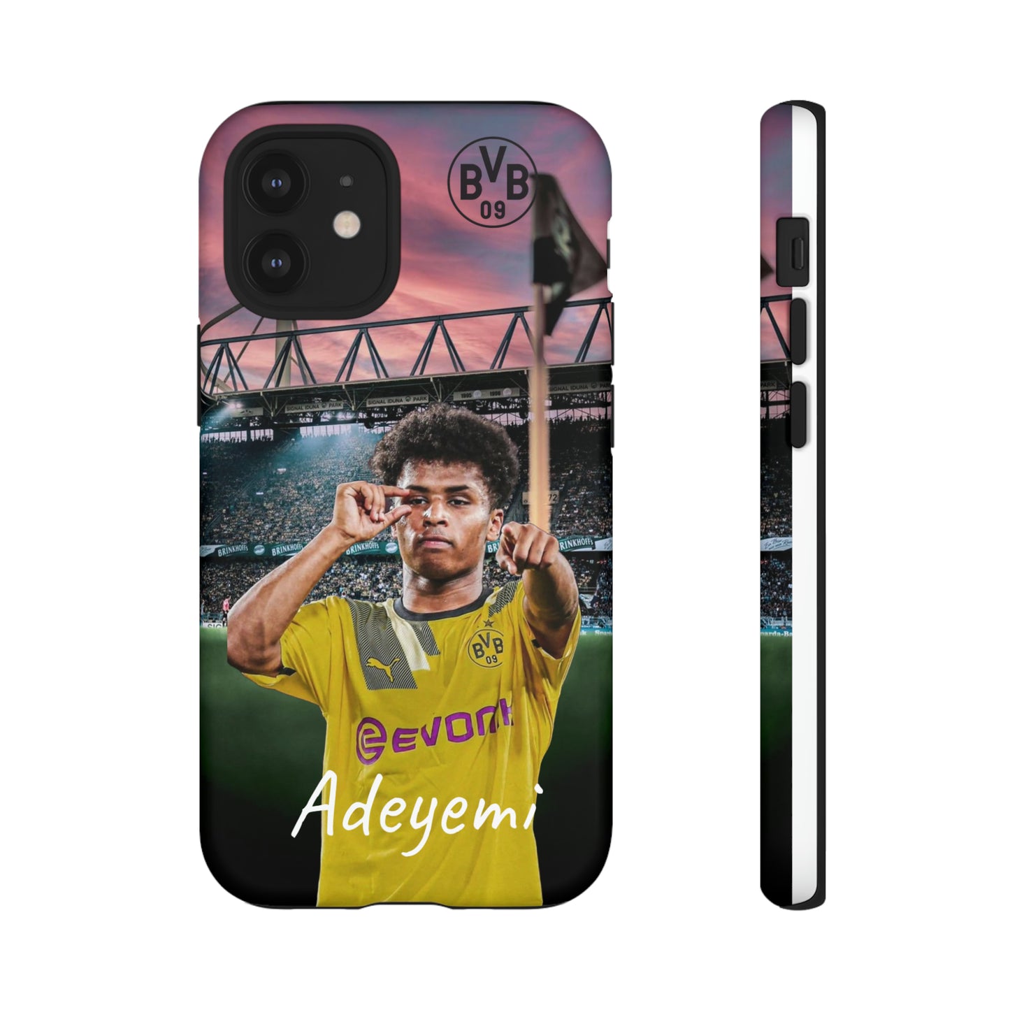 Adeyemi BVB Case