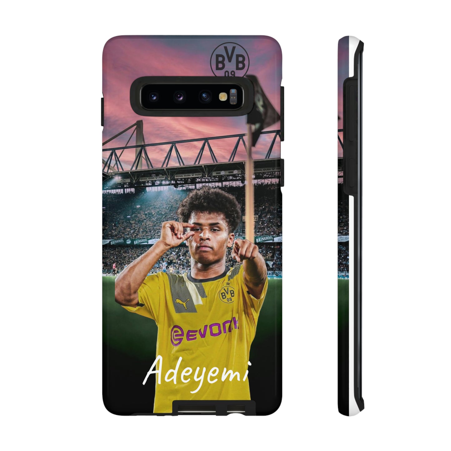 Adeyemi BVB Case