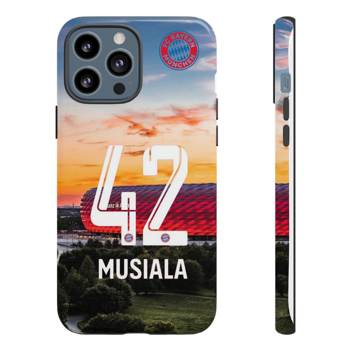 Allianz Arena Case