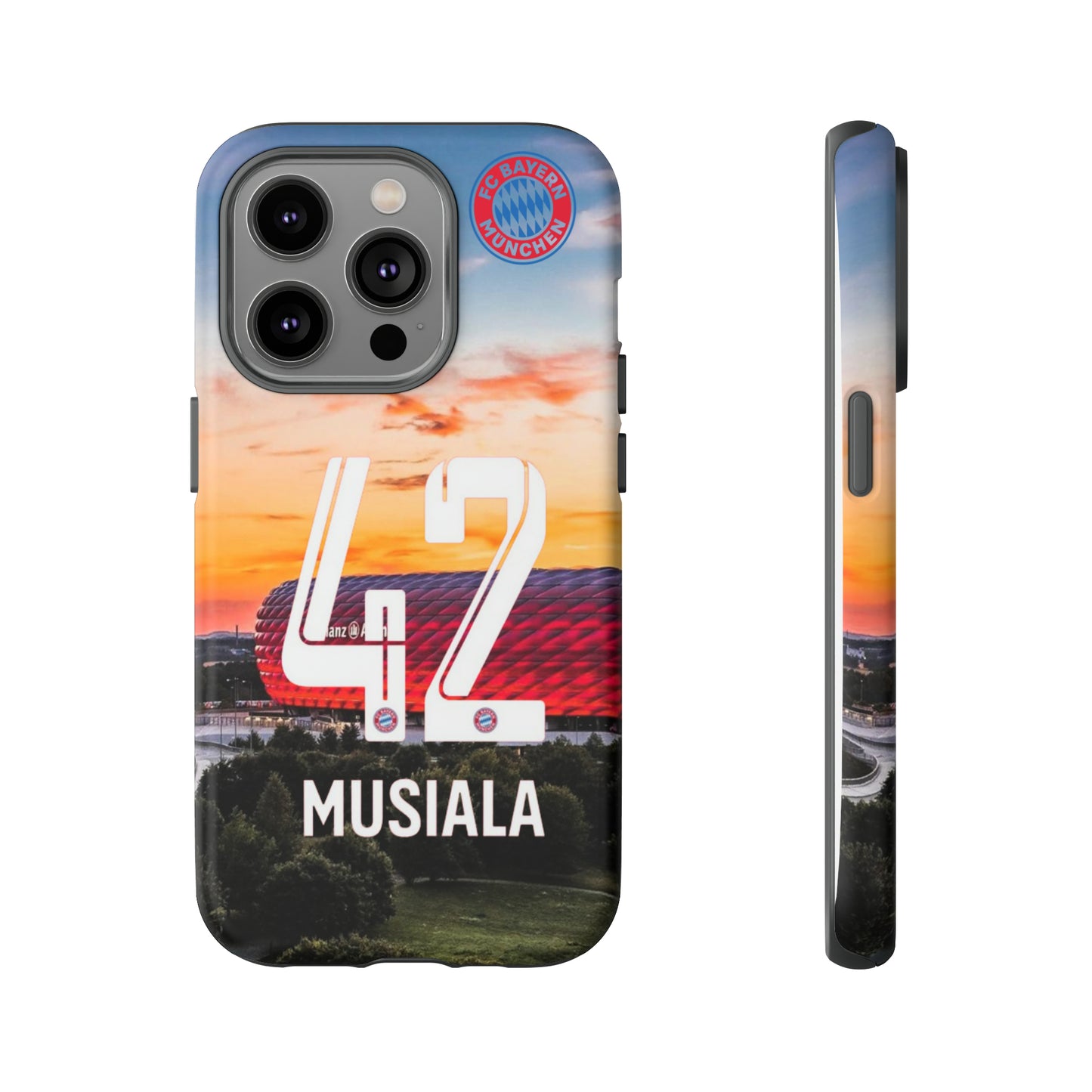 Allianz Arena Case