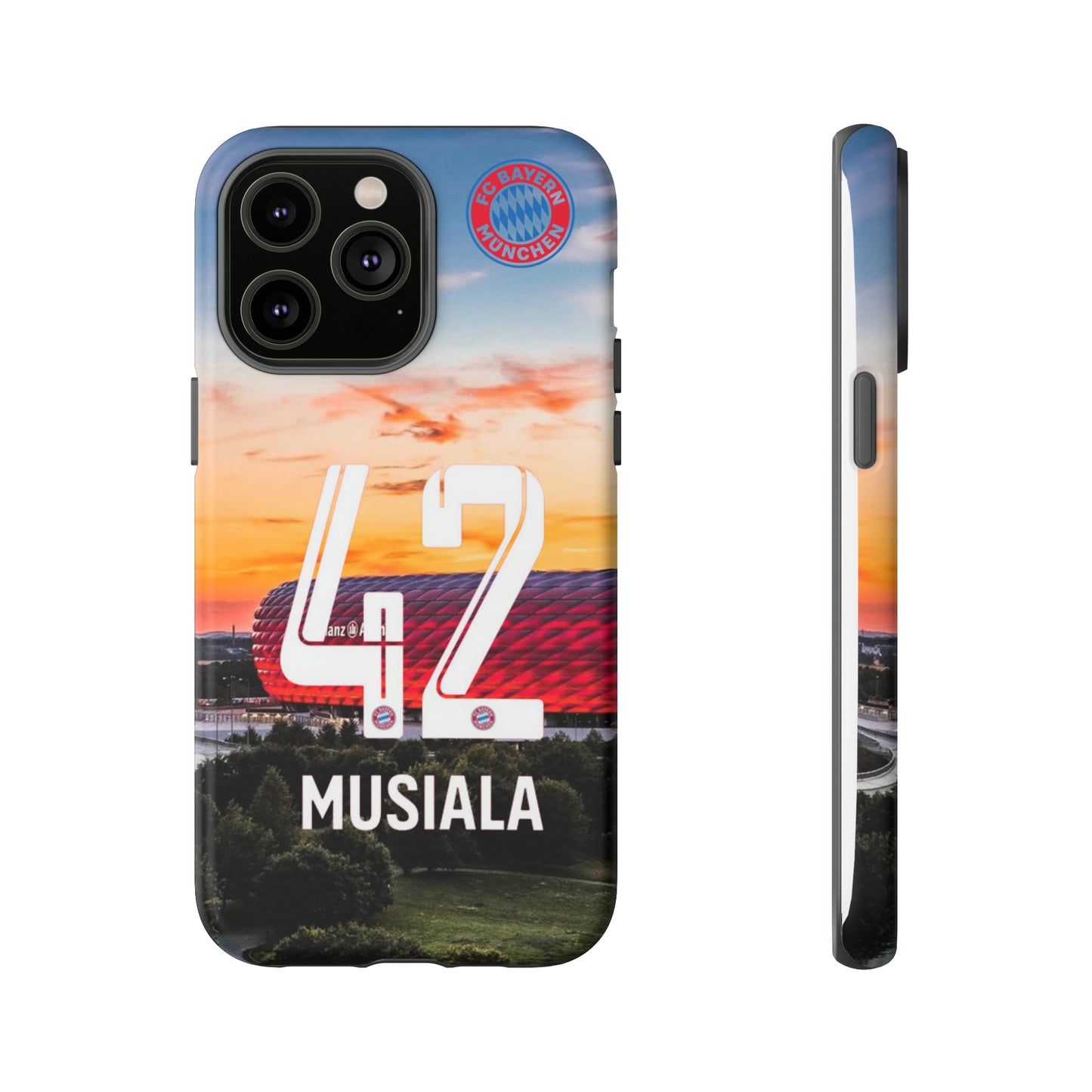 Allianz Arena Case