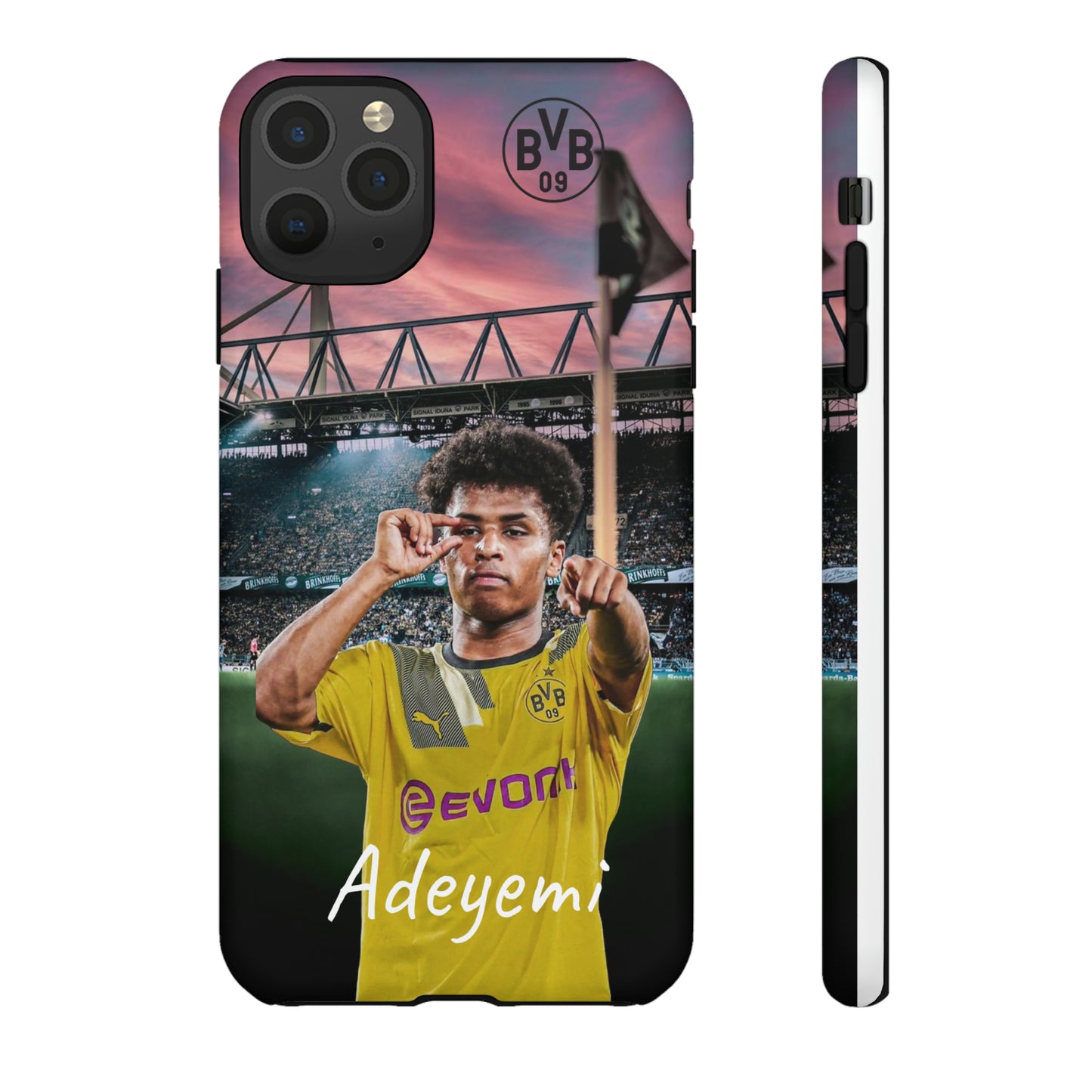 Adeyemi BVB Case