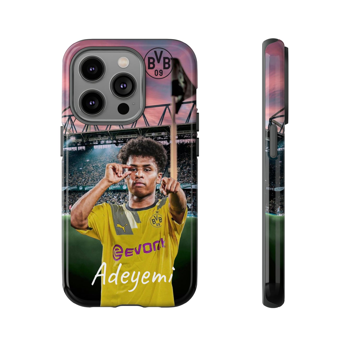Adeyemi BVB Case