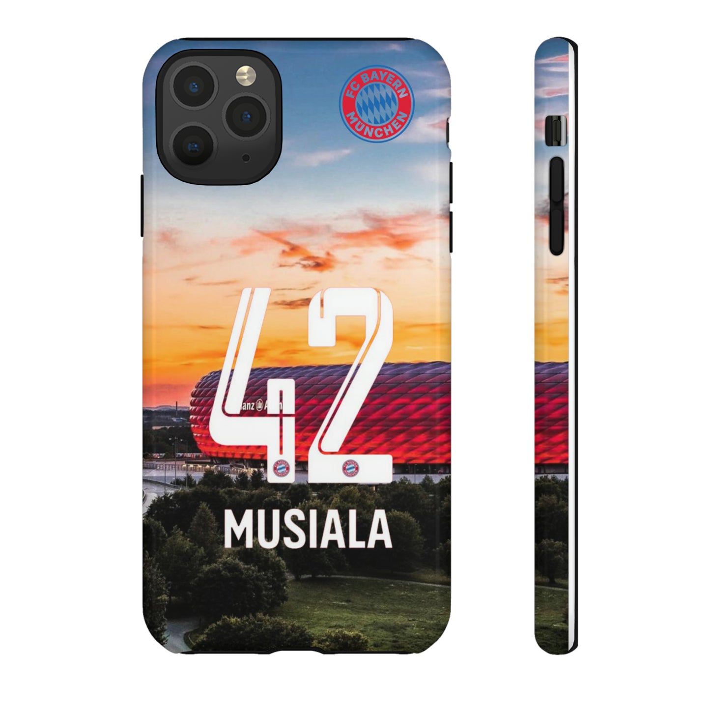 Allianz Arena Case