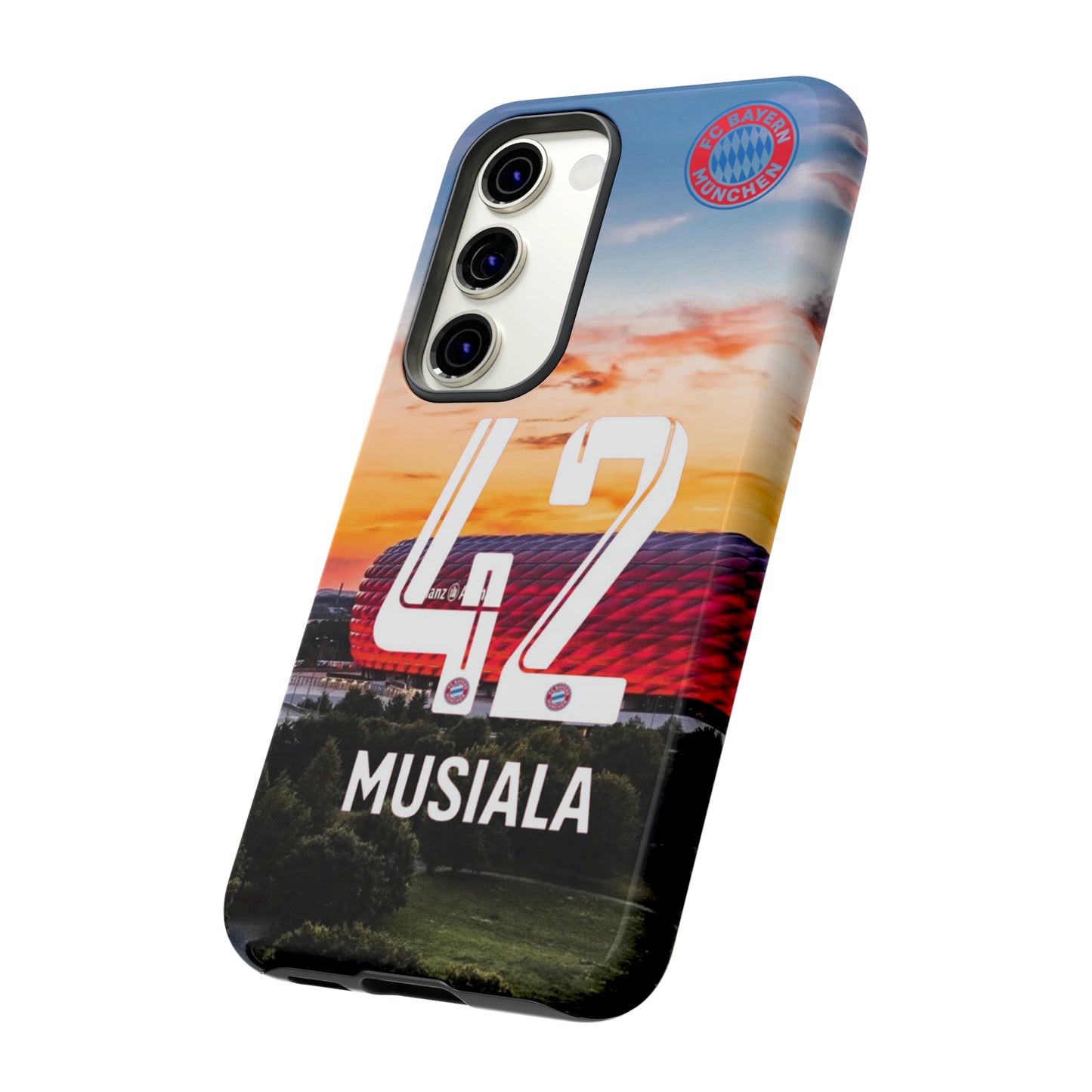 Allianz Arena Case