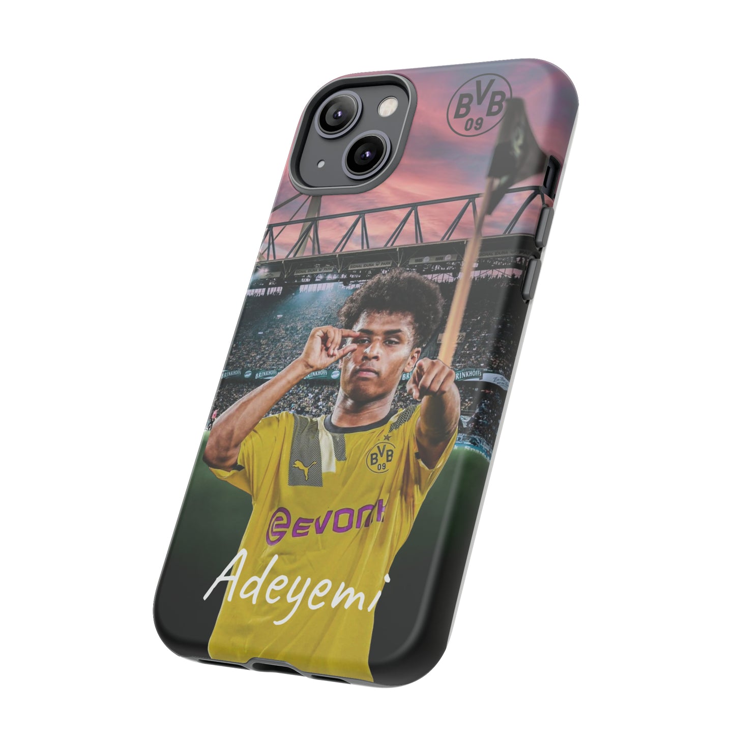 Adeyemi BVB Case