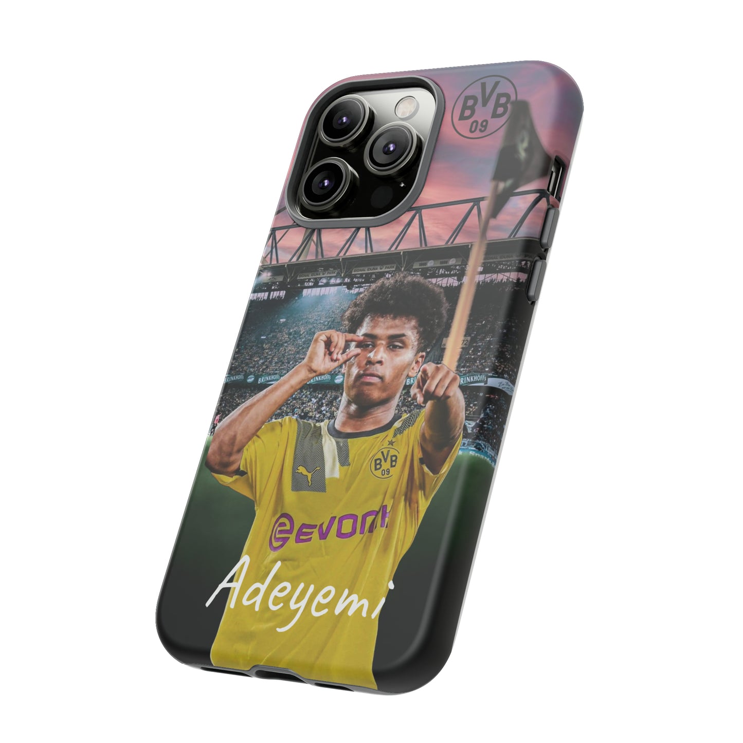 Adeyemi BVB Case