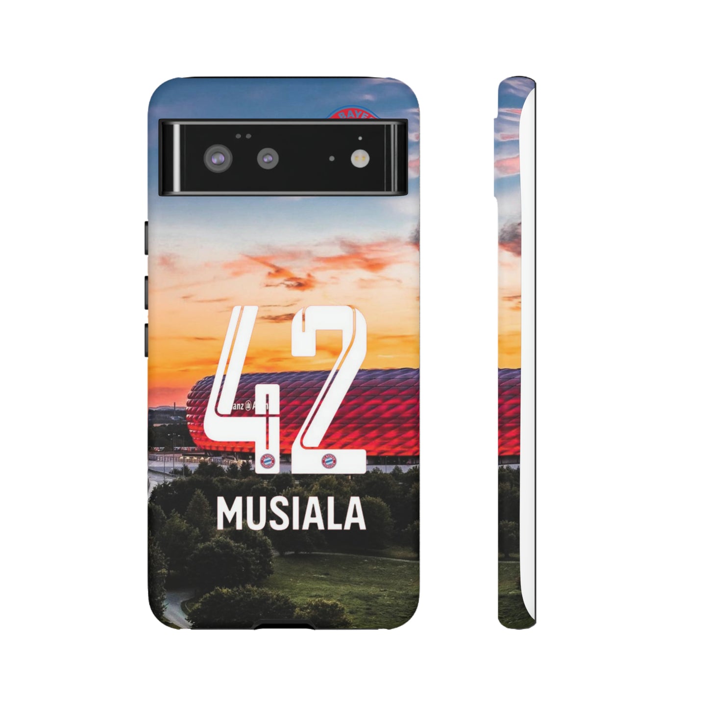 Allianz Arena Case