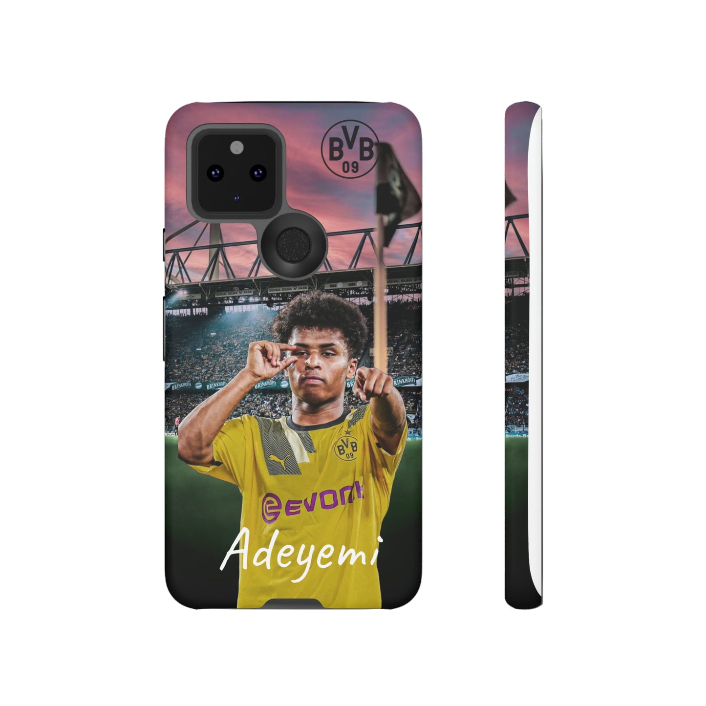 Adeyemi BVB Case