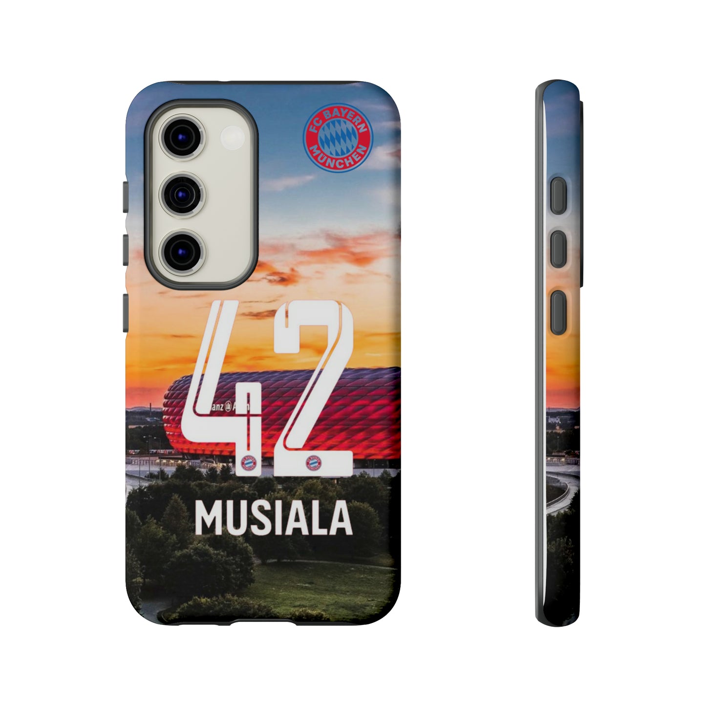 Allianz Arena Case