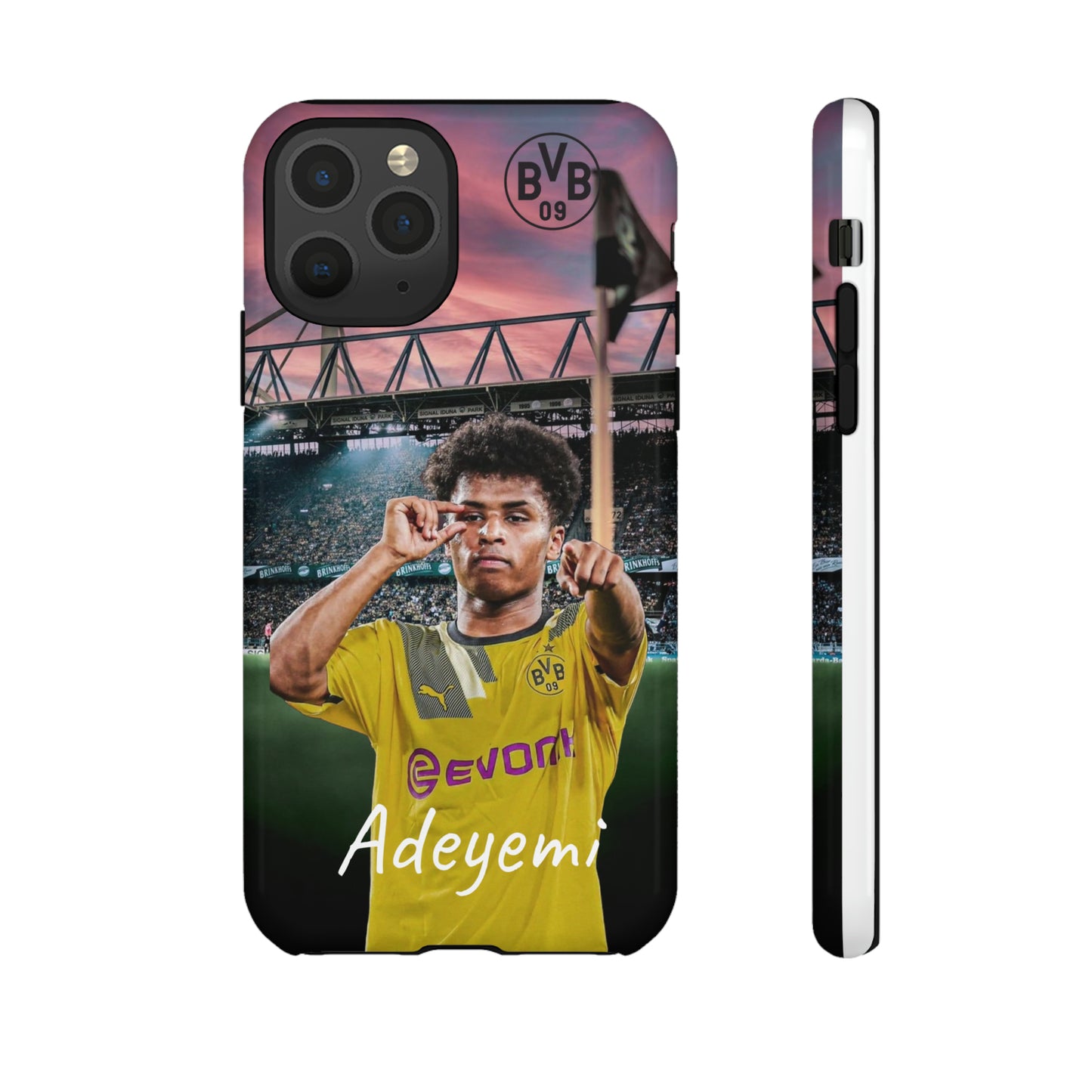 Adeyemi BVB Case