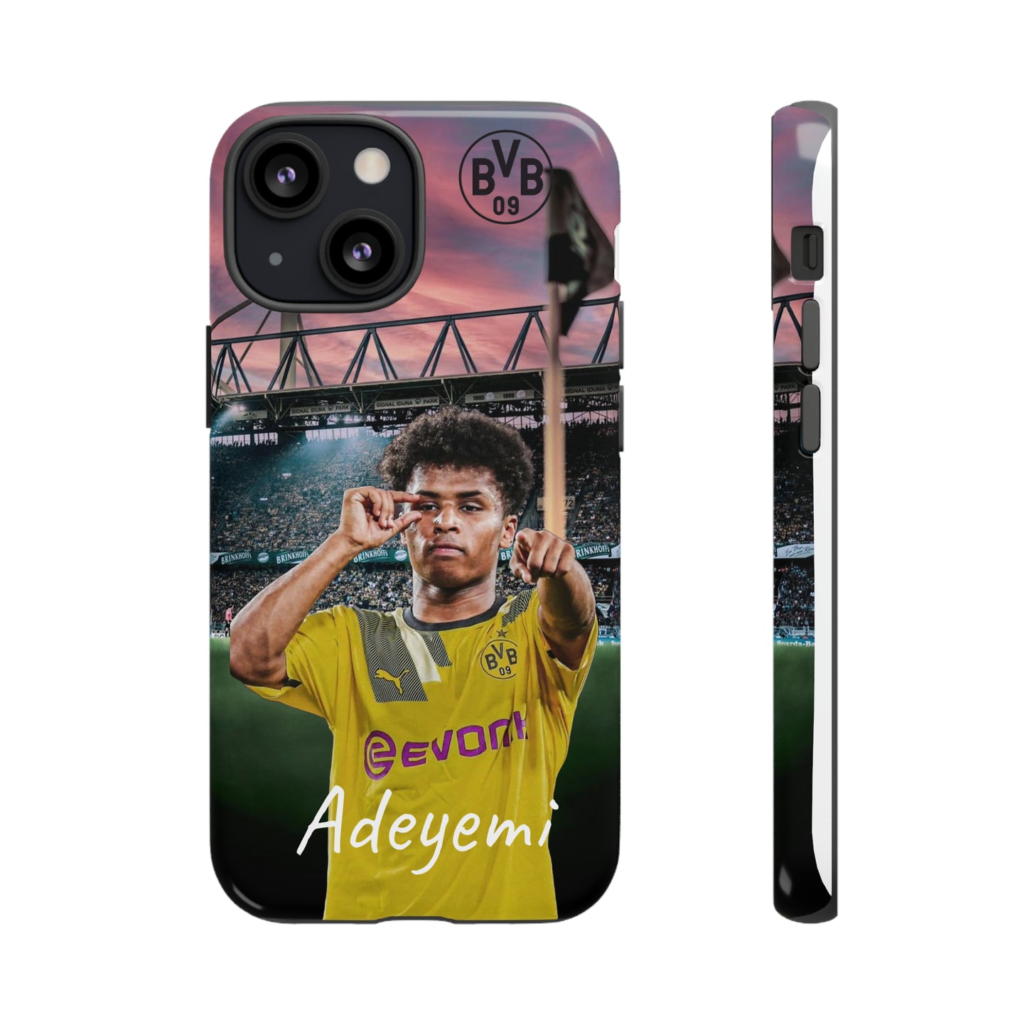 Adeyemi BVB Case