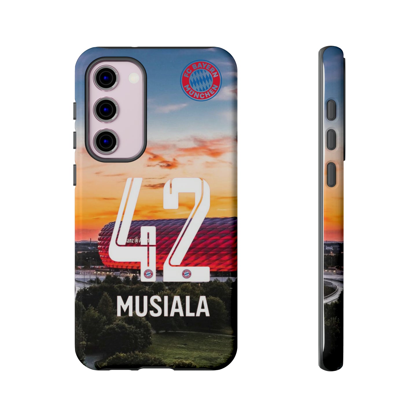 Allianz Arena Case