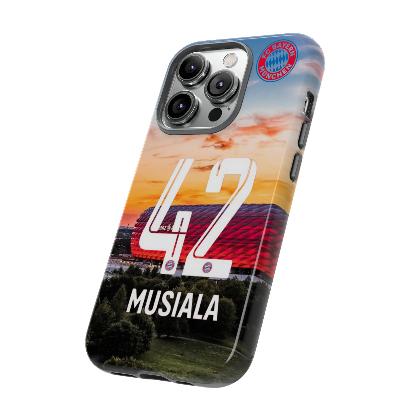 Allianz Arena Case