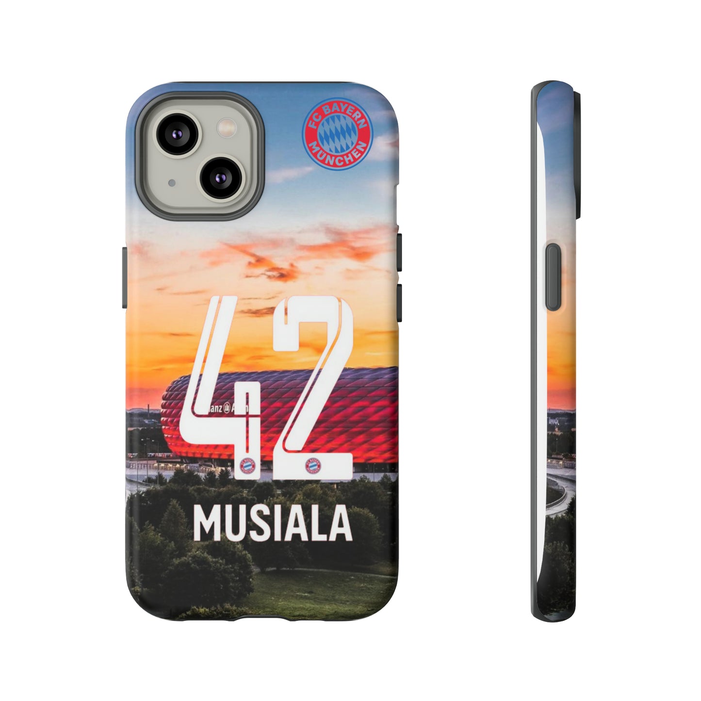Allianz Arena Case