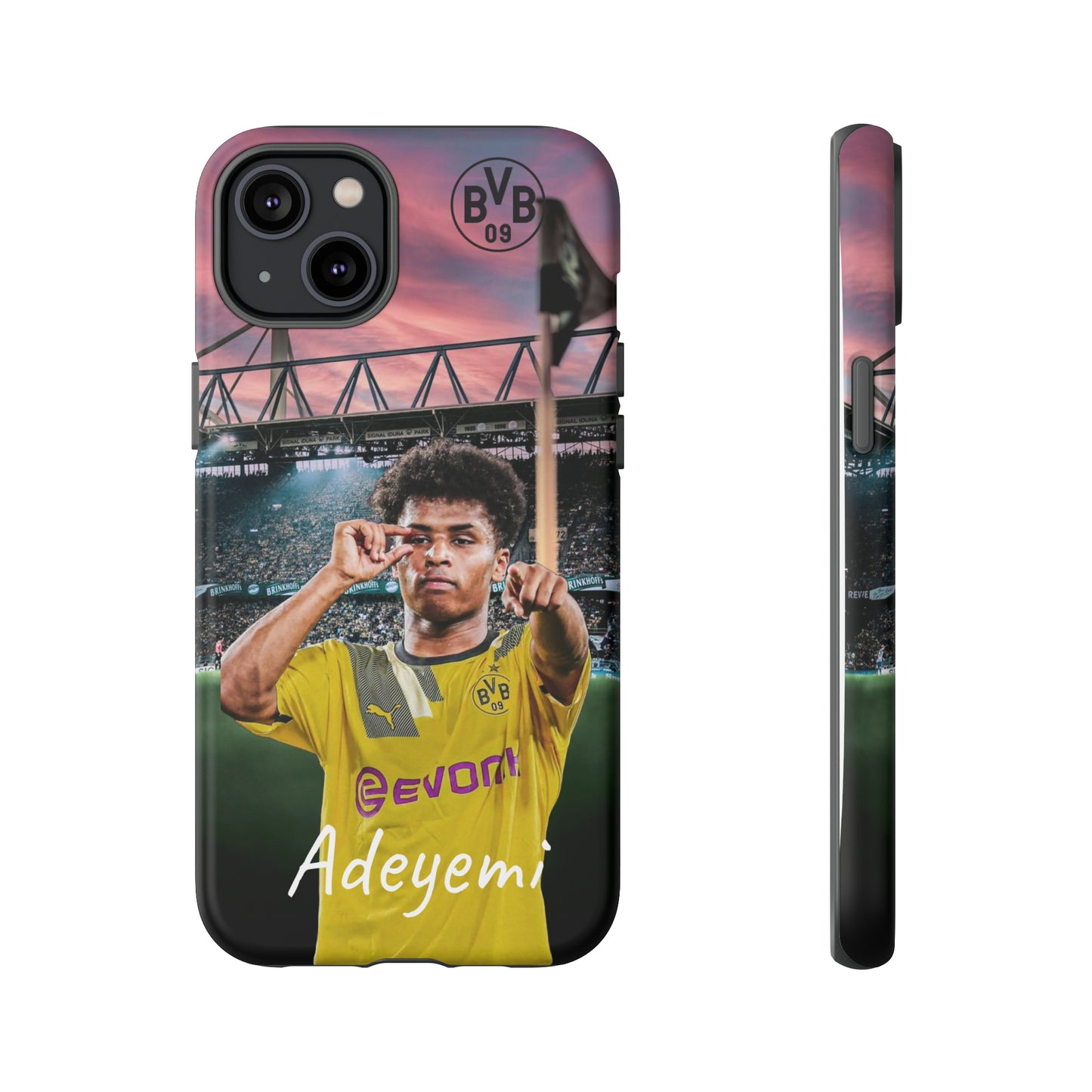 Adeyemi BVB Case