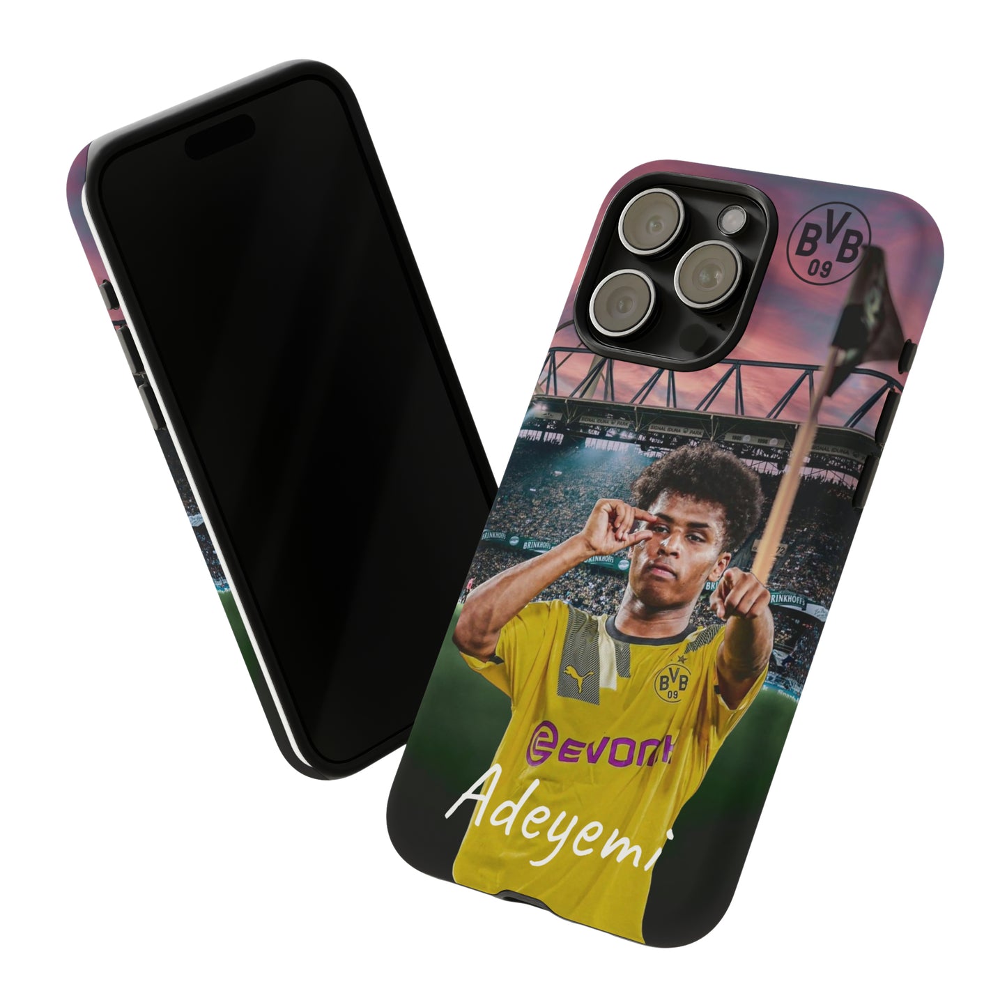 Adeyemi BVB Case