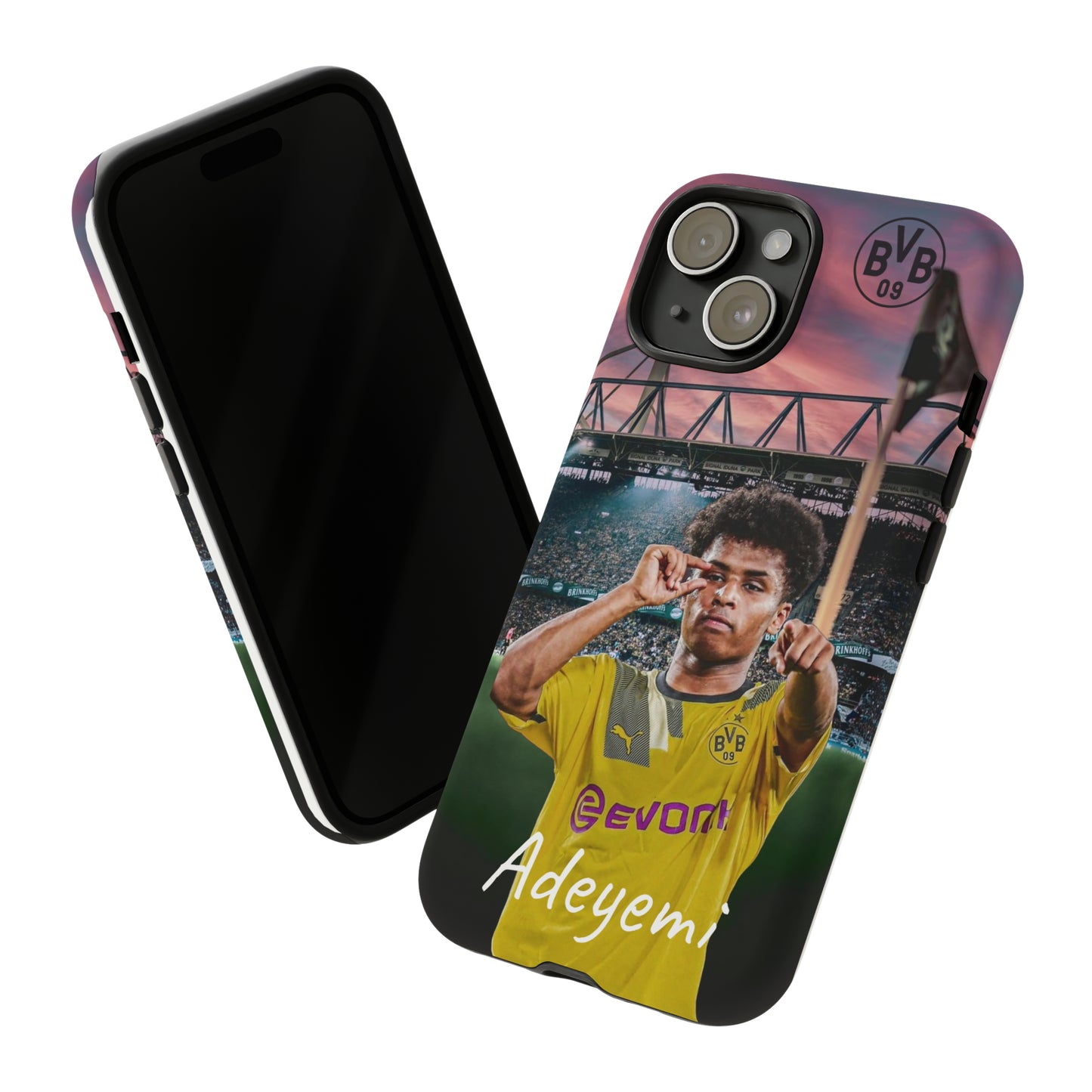 Adeyemi BVB Case