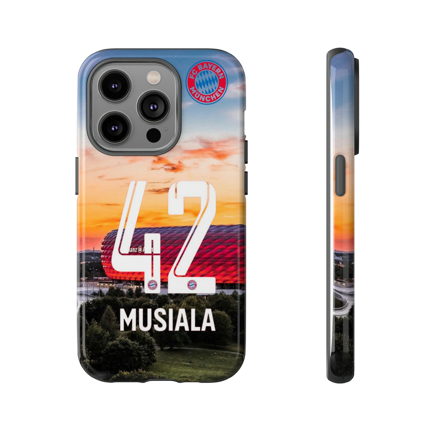Allianz Arena Case