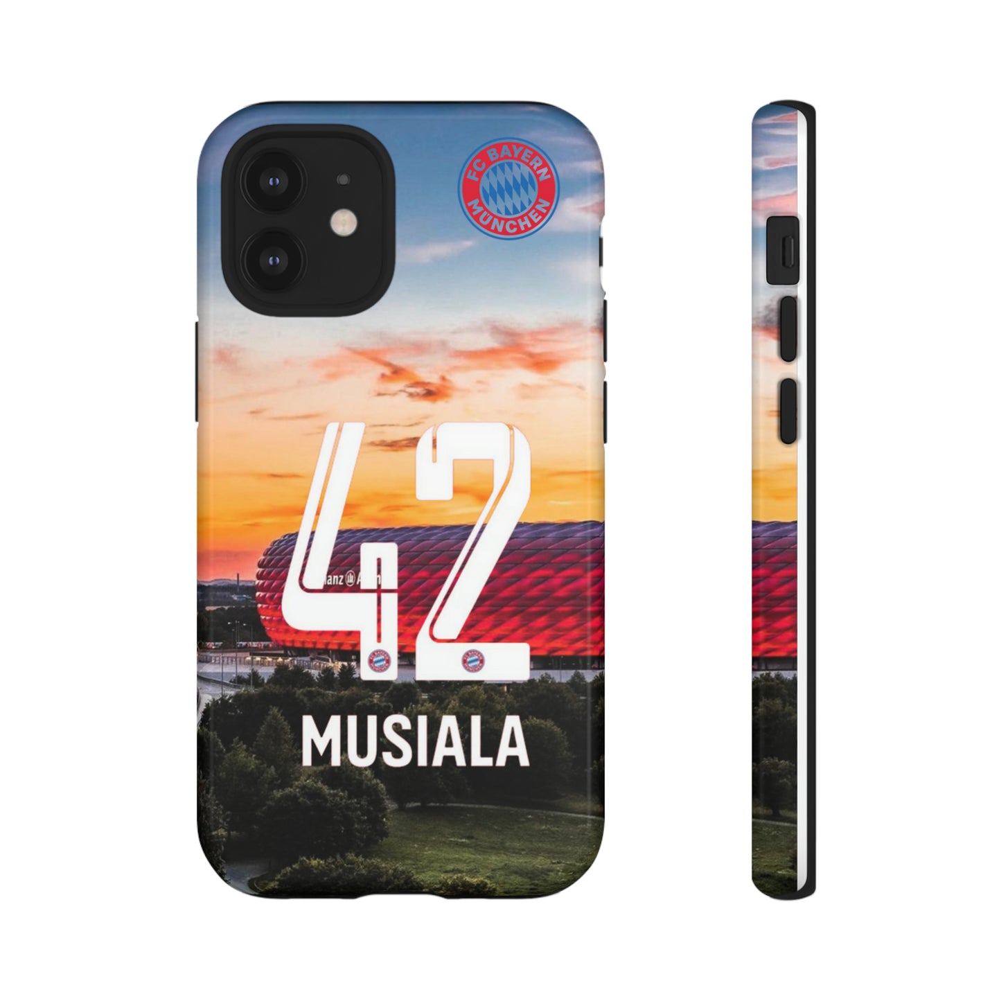 Allianz Arena Case