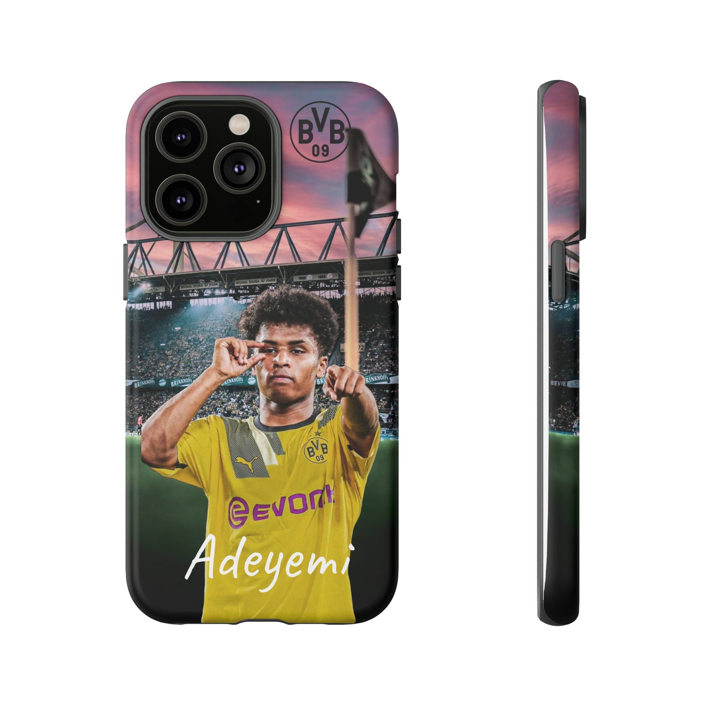 Adeyemi BVB Case