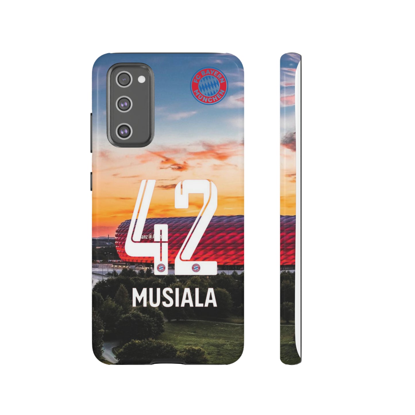 Allianz Arena Case