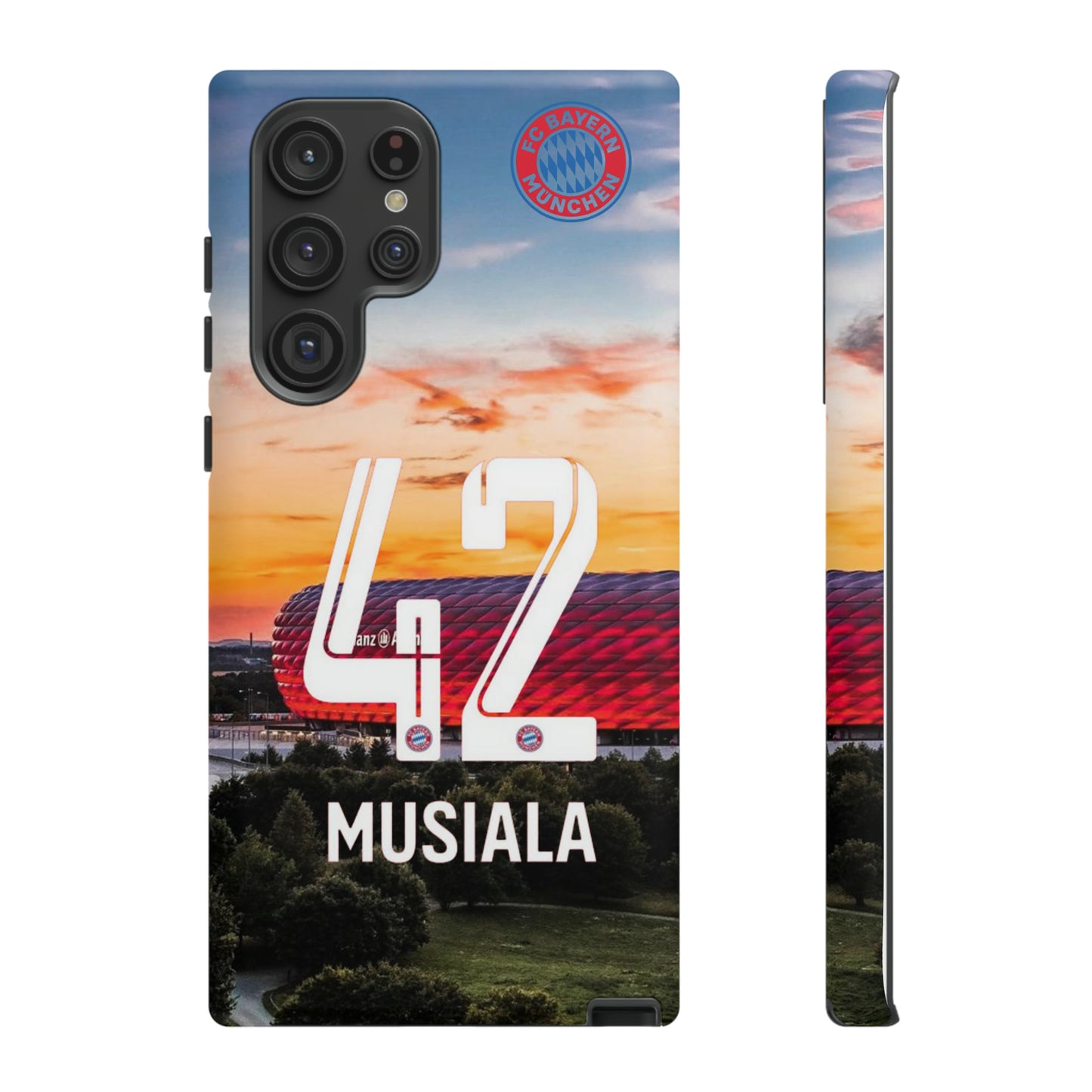 Allianz Arena Case