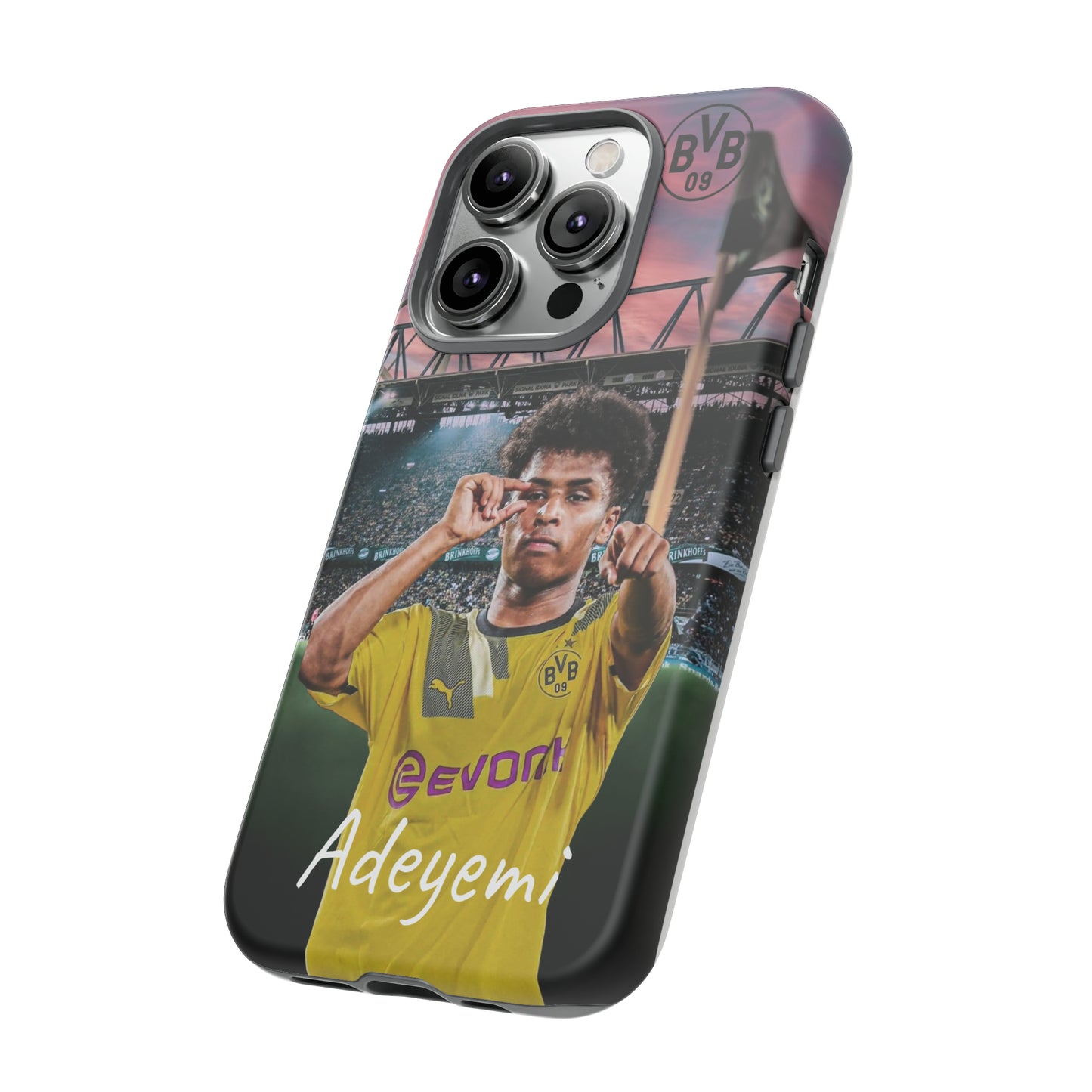 Adeyemi BVB Case