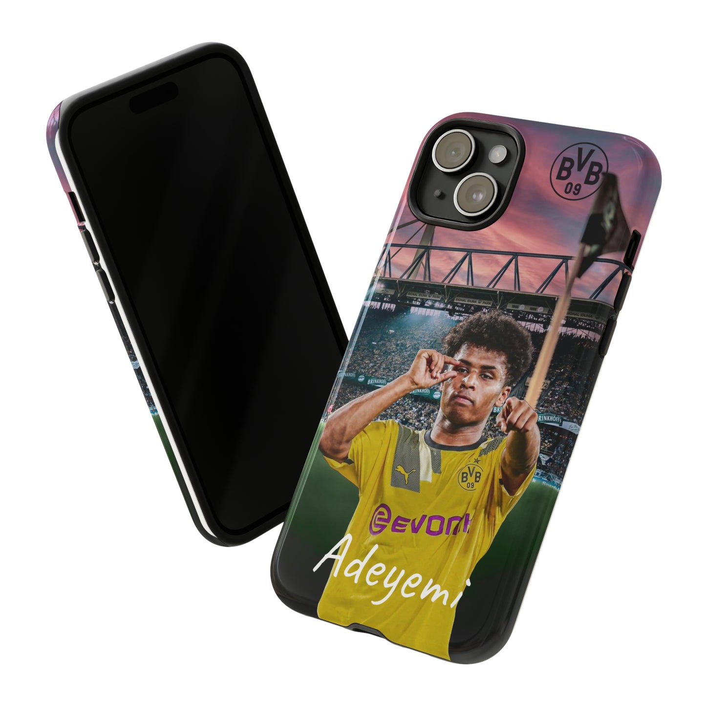 Adeyemi BVB Case