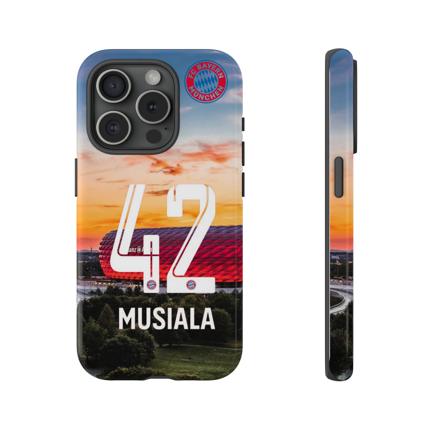 Allianz Arena Case