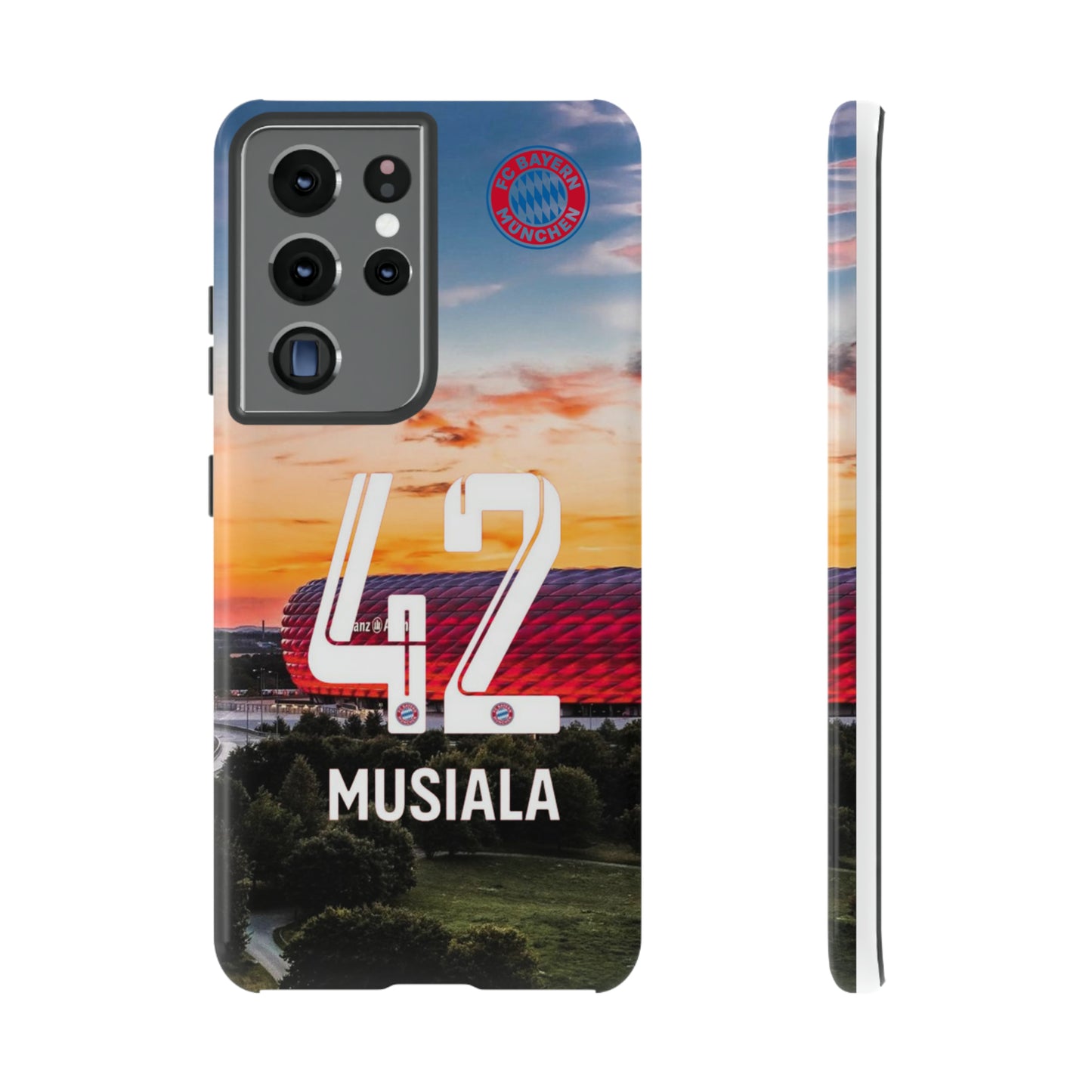 Allianz Arena Case