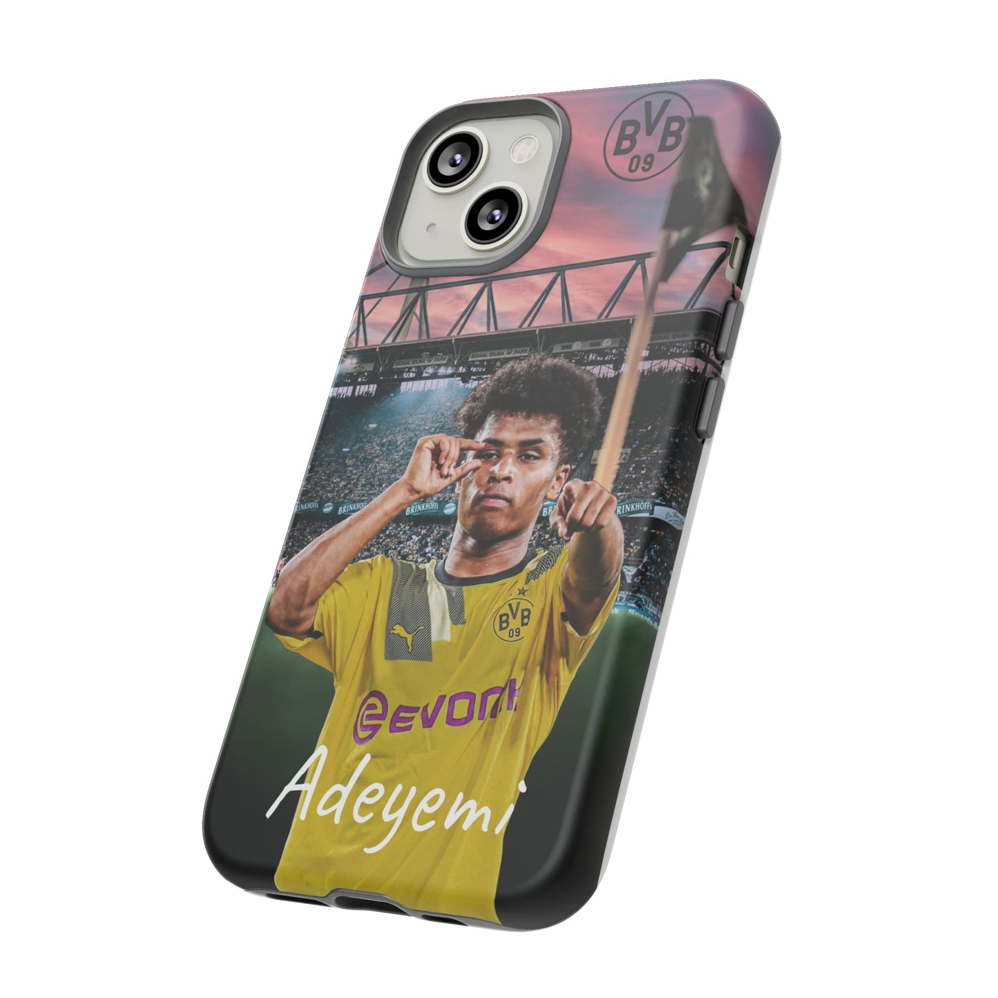 Adeyemi BVB Case
