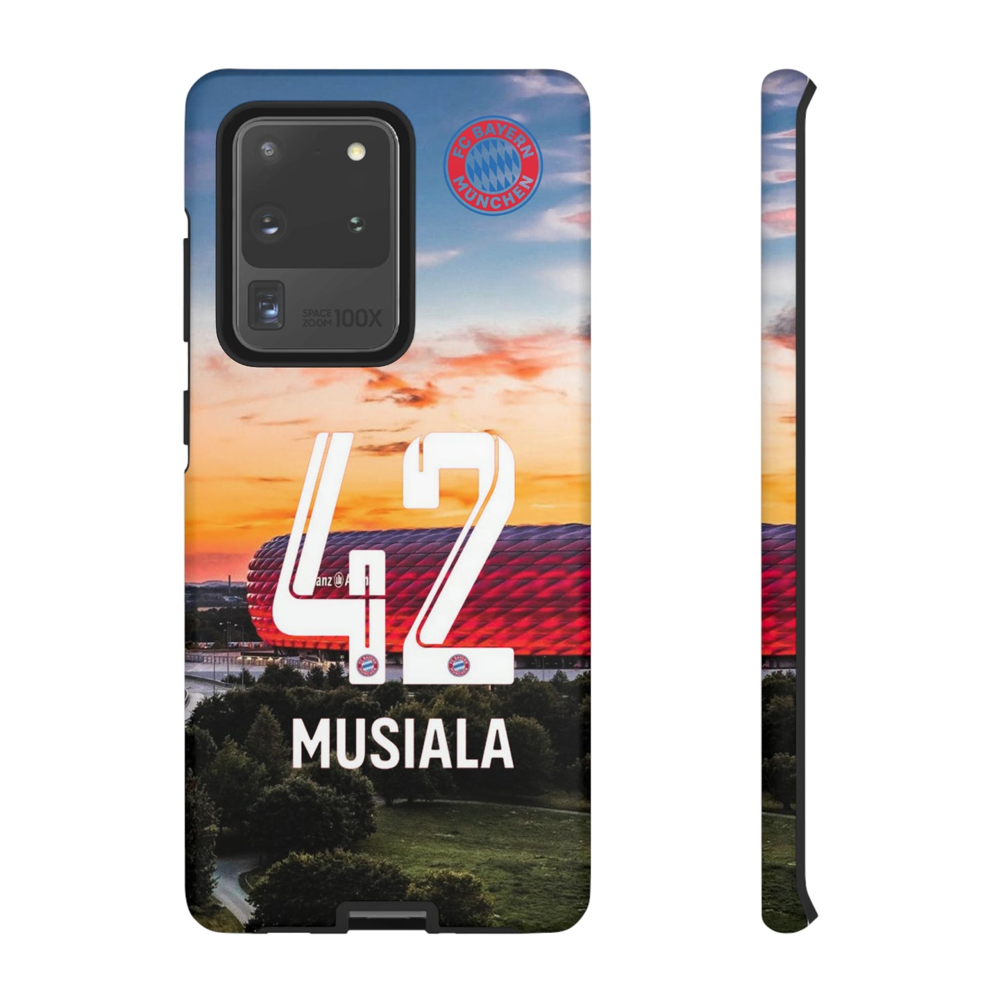 Allianz Arena Case