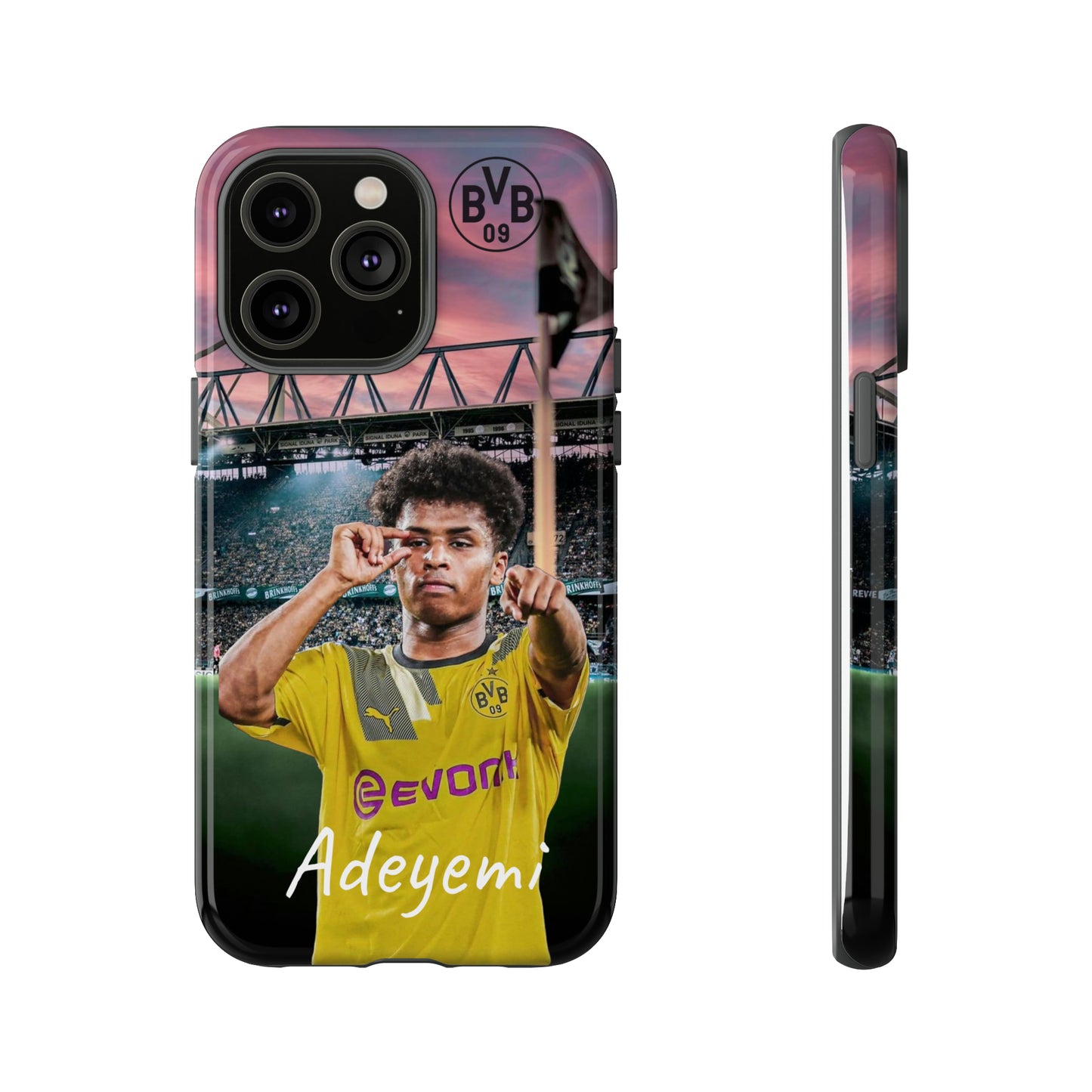 Adeyemi BVB Case