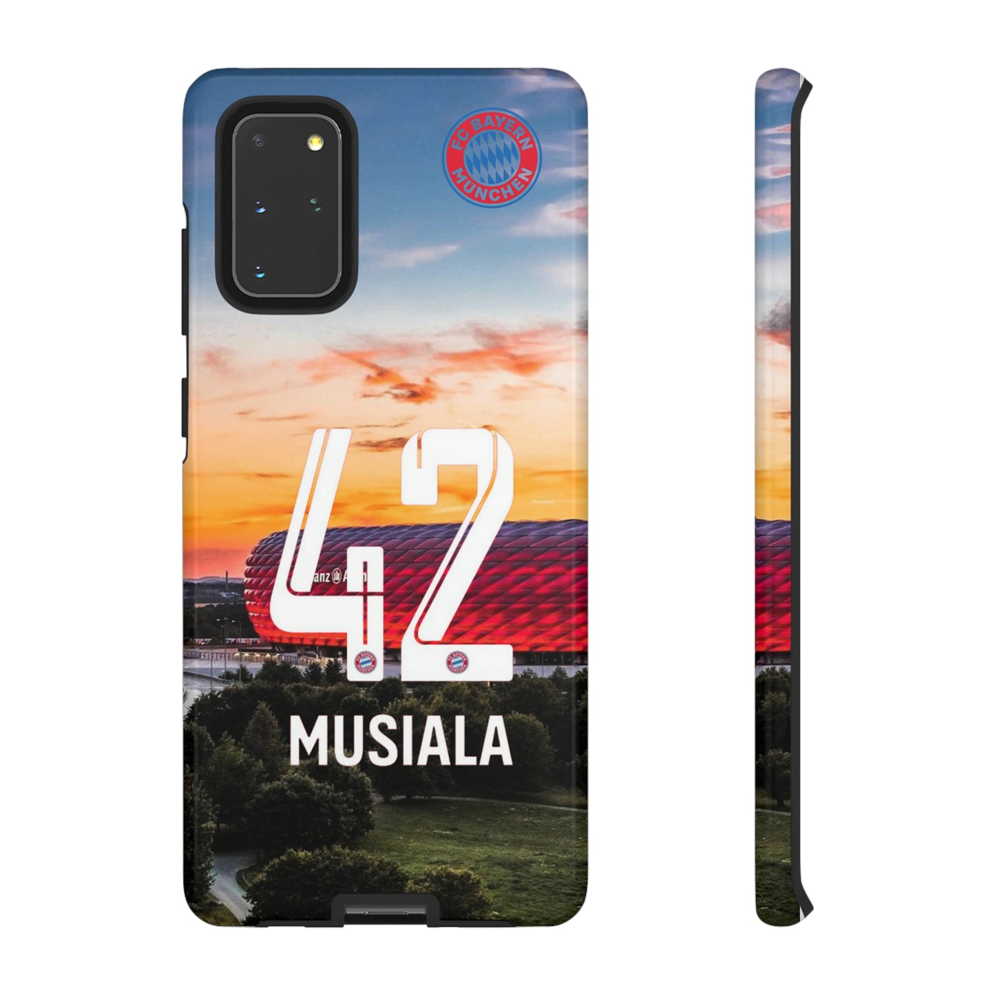 Allianz Arena Case