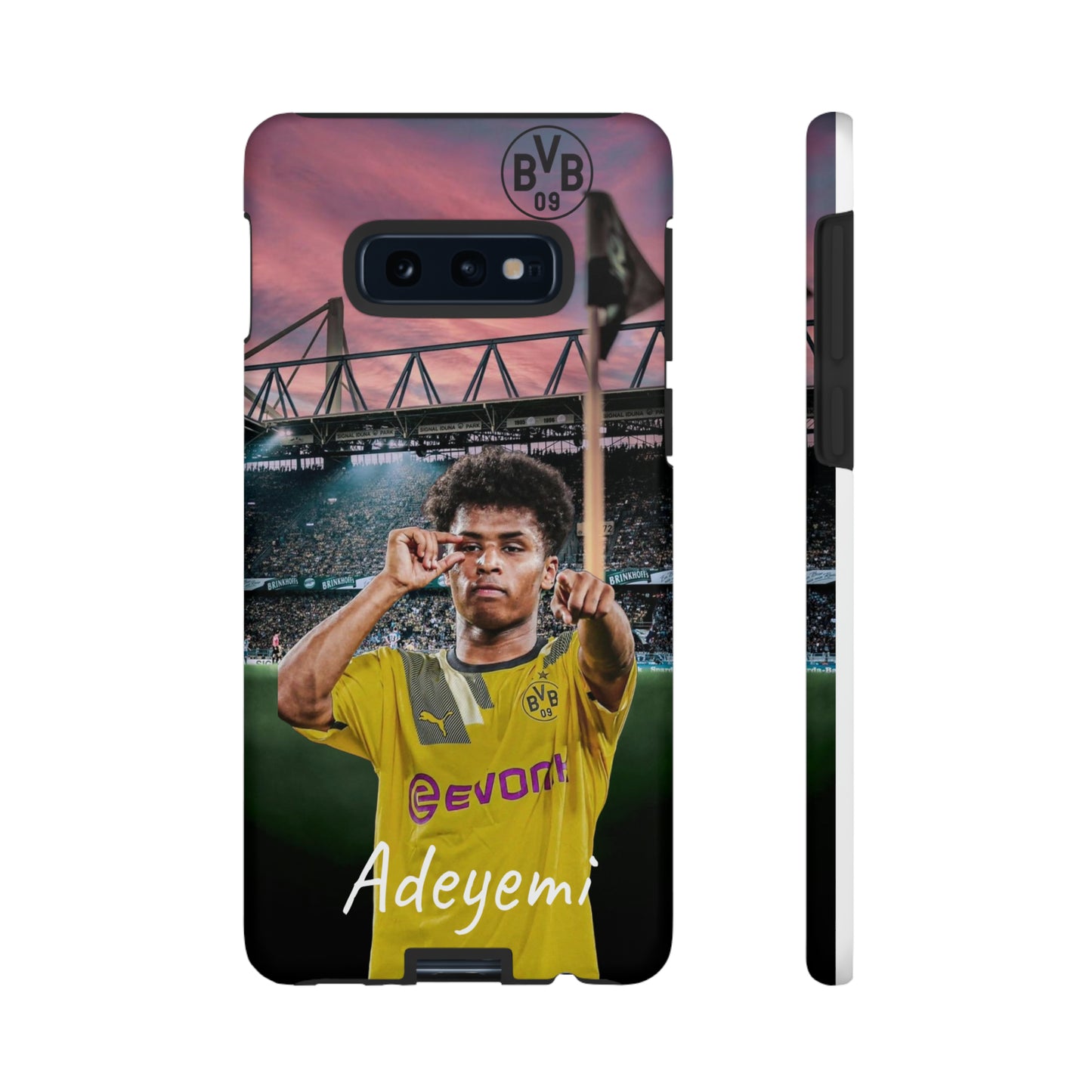 Adeyemi BVB Case