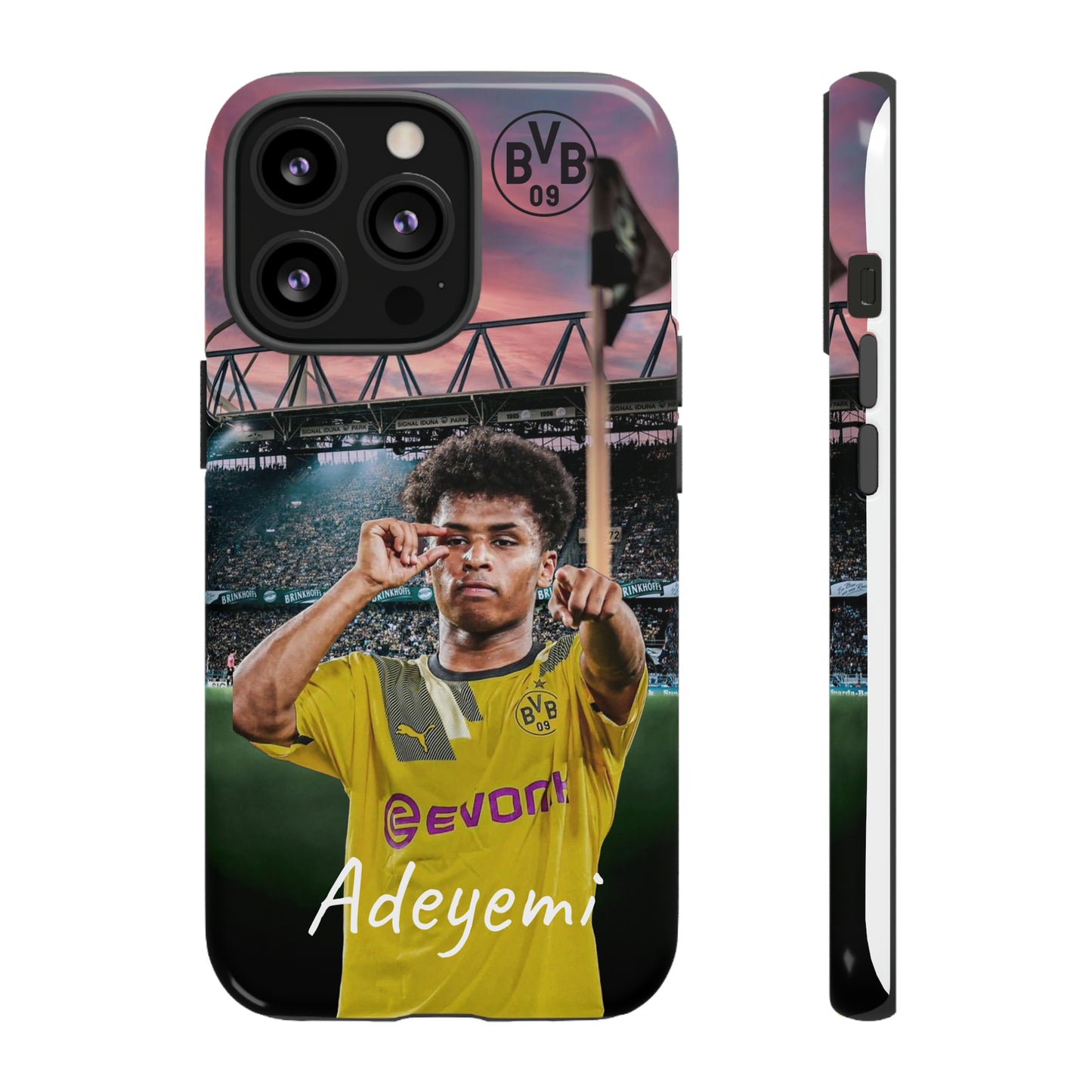 Adeyemi BVB Case