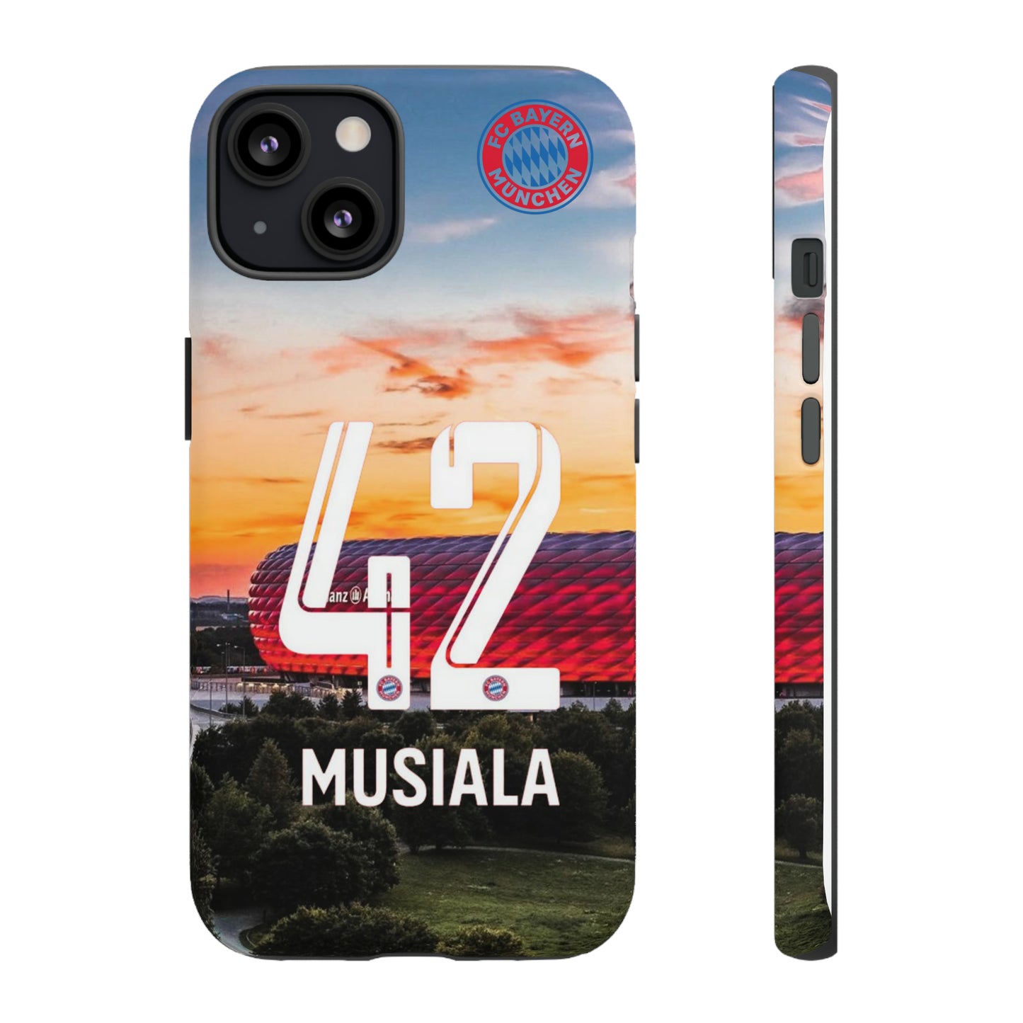 Allianz Arena Case