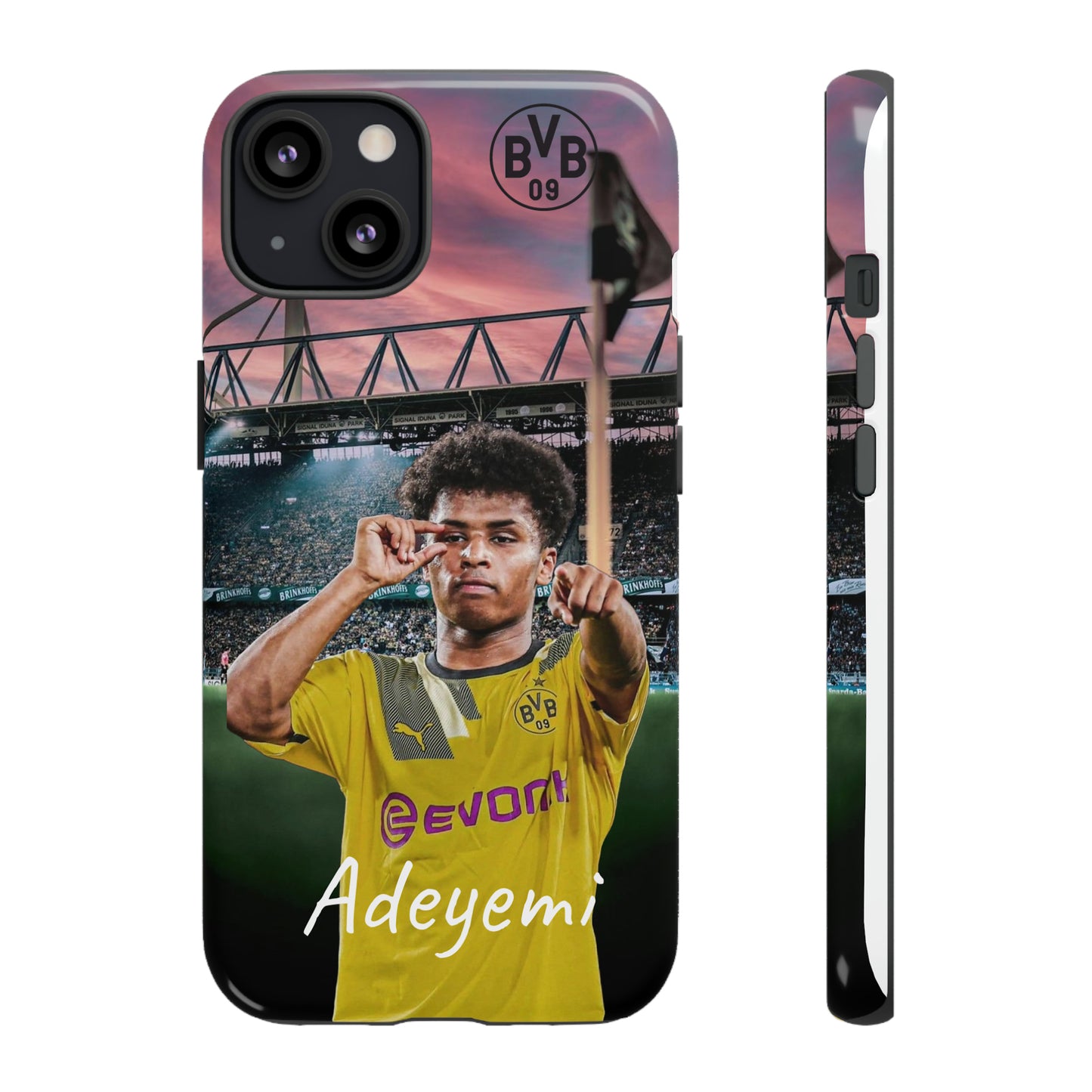 Adeyemi BVB Case