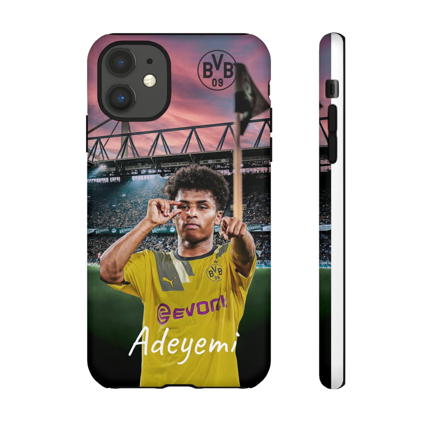 Adeyemi BVB Case