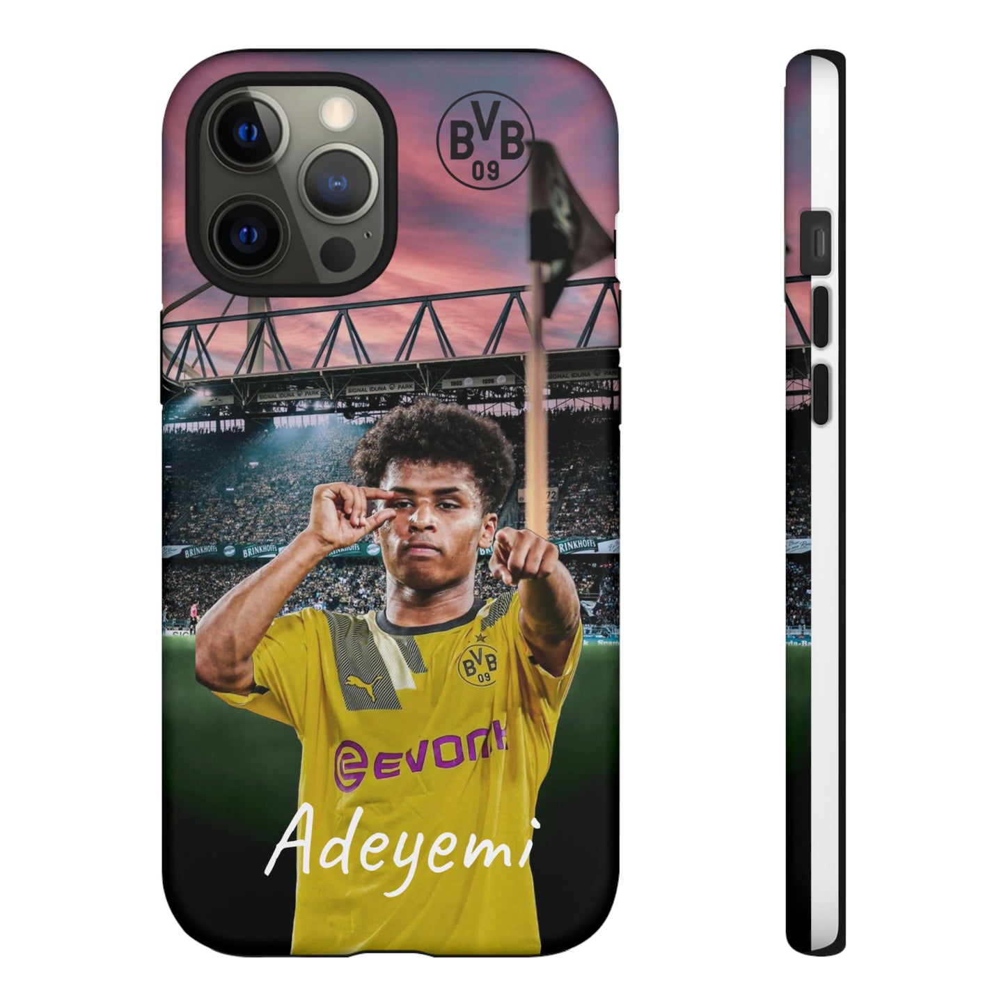 Adeyemi BVB Case