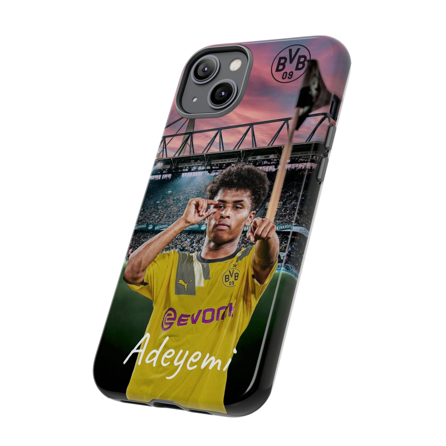 Adeyemi BVB Case