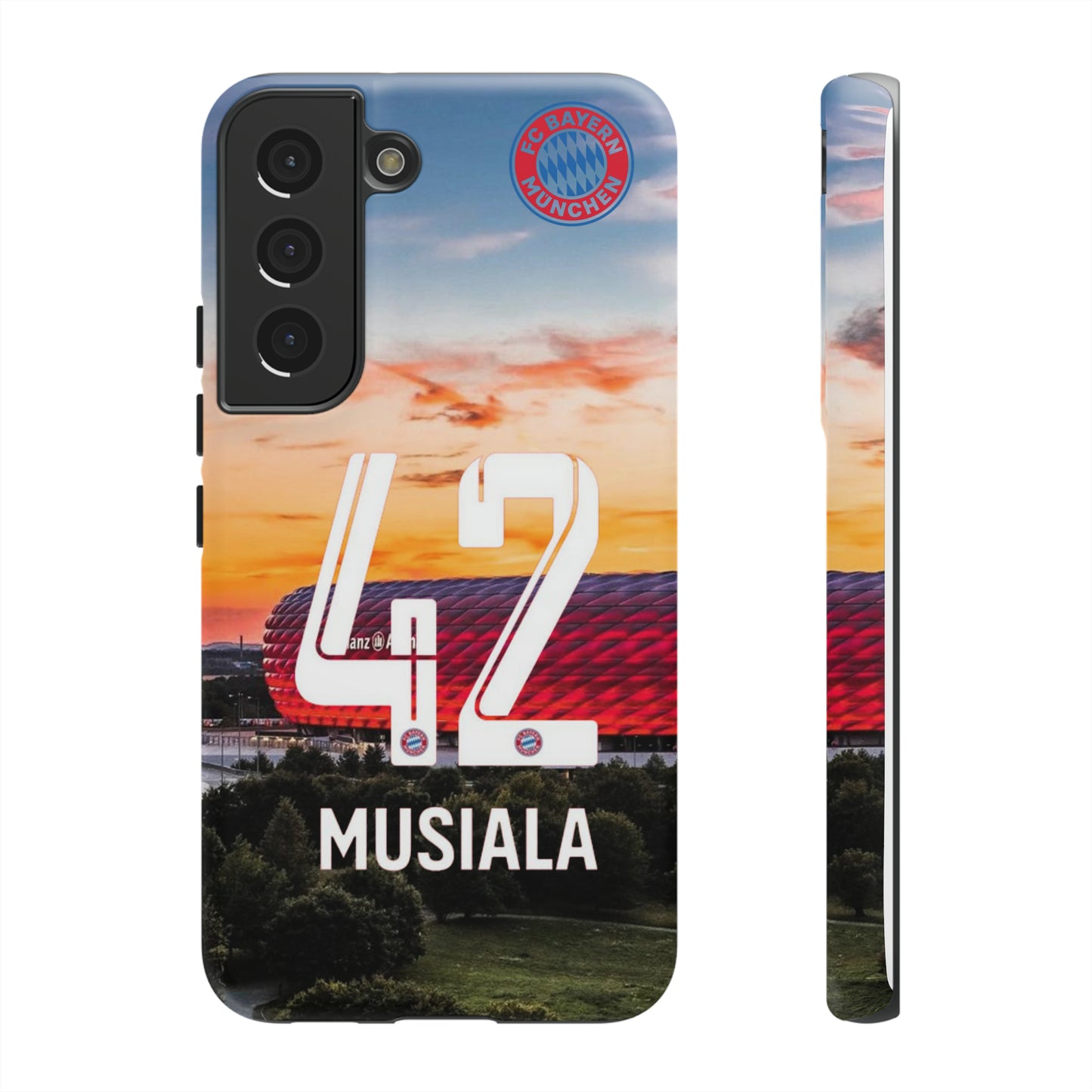 Allianz Arena Case