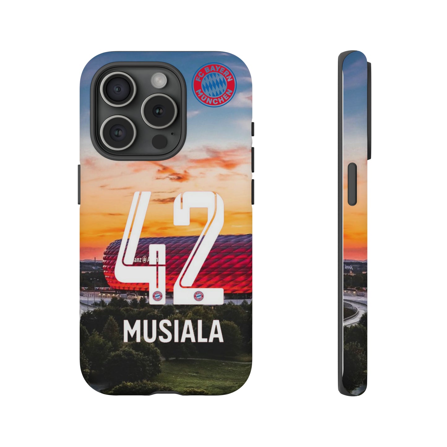 Allianz Arena Case