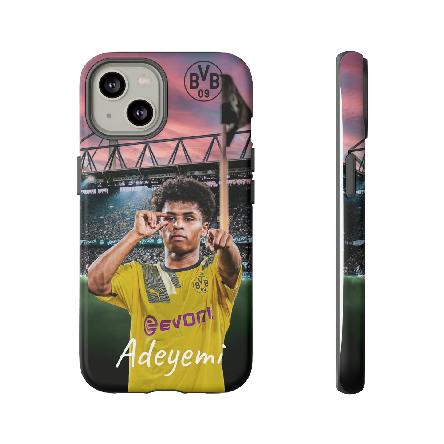 Adeyemi BVB Case